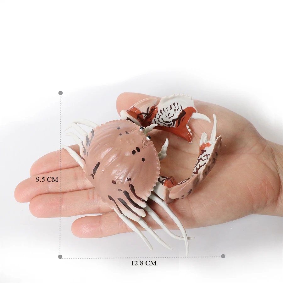 Realistische Ozean Tiere Einsiedlerkrebs Kokosnuss Krabbe Fiddler Krabbe Meer Leben Modell Action-figuren Meerestiere Spielzeug Für Home Decorati – Detail 33
