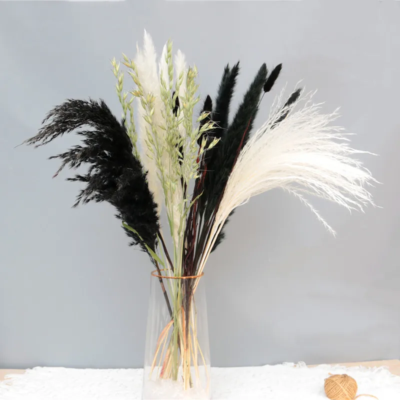 

Fluffy Natural Pampas Grass Reed Bouquet Hay For Wedding Birthday Party Decoration Bohemian Country Living Room Decora