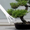 Bonsai Rake Stainless Steel Rake Root Rake Stainless Steel Root Rake 3-Prong Loosen Soil Bonsai Tree Tools with Ergonomic Handle 4