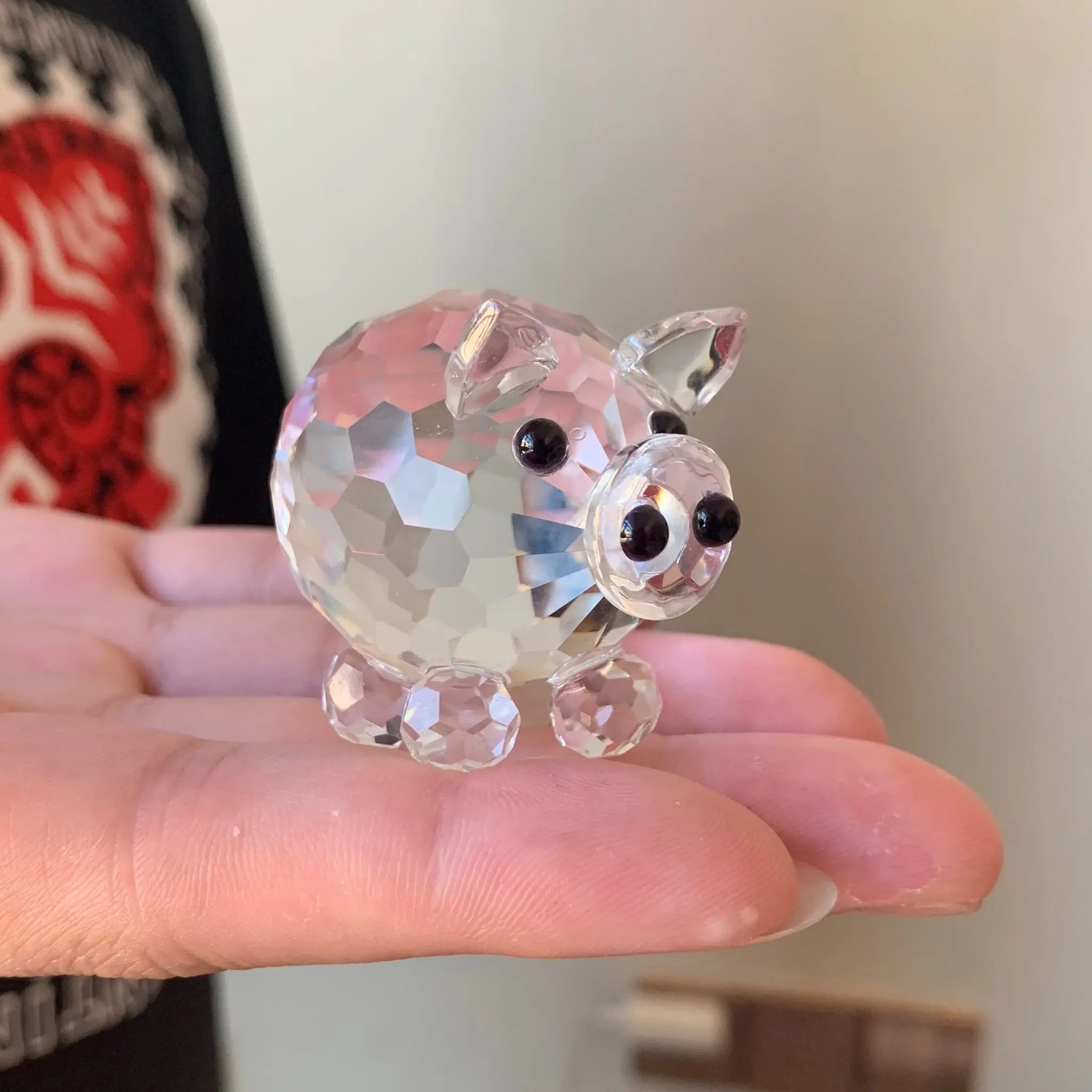 pig