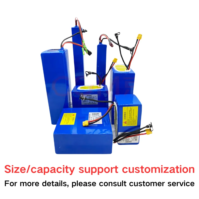 48V Rechargeable Power System with Charger for Backup Energy Storage