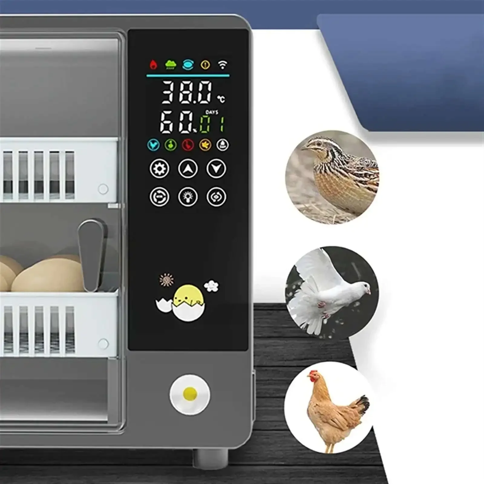 24 Eggs Incubator With Drawer Type Egg Incubator Turner With Automatic Waterbed Replenishment Temperature Control Touch Screen – Detail 3