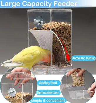 No Mess Automatic Bird Feeder 1