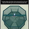New Type of Fish Net Fish and Shrimp Cage Fishing Net River Shrimp and Eel Hand-thrown Net Cage 4