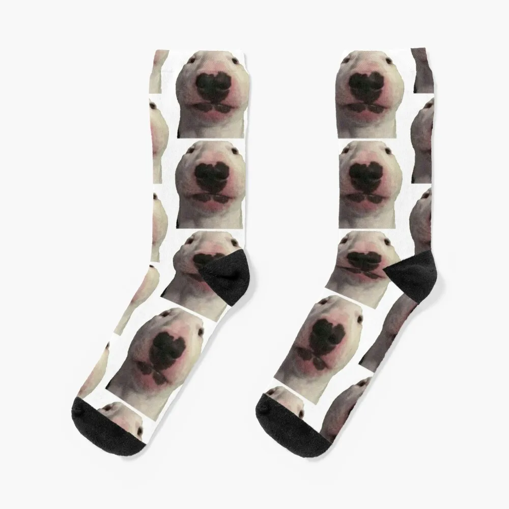 

walter dog meme Socks cotton cartoon Socks Men Women's
