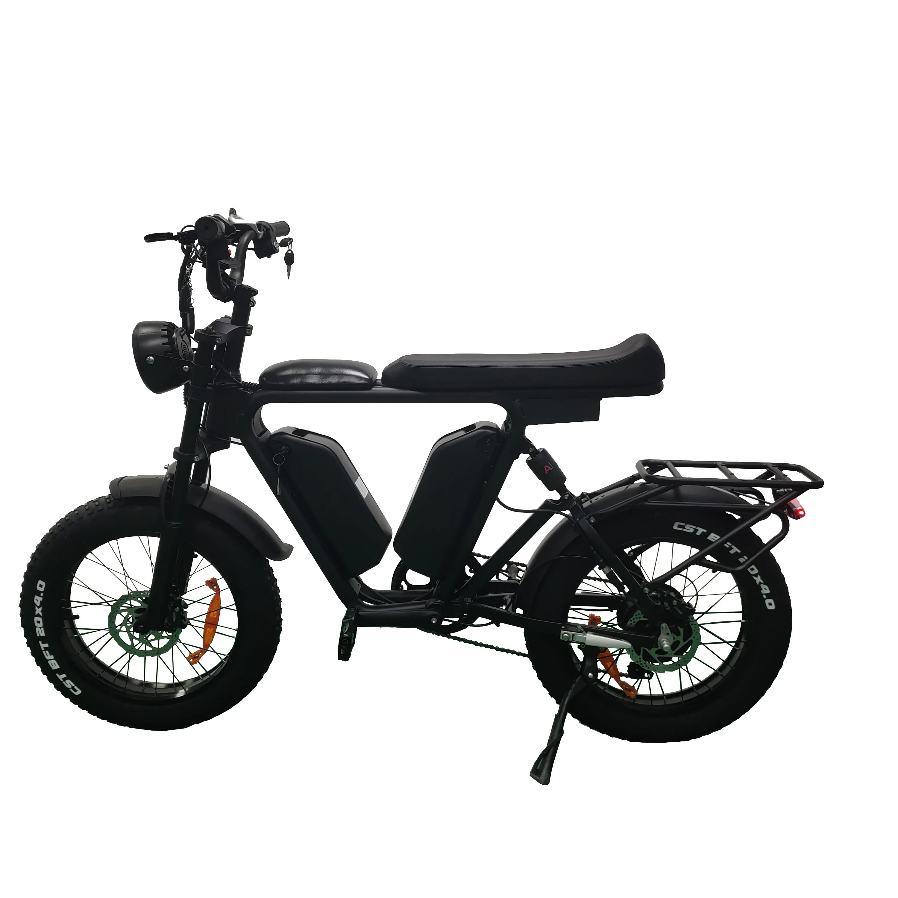 Long Range Electric EBike 22ah*2 Dual Batteries E Bike 1000w 48v Fat Tire Bicycle