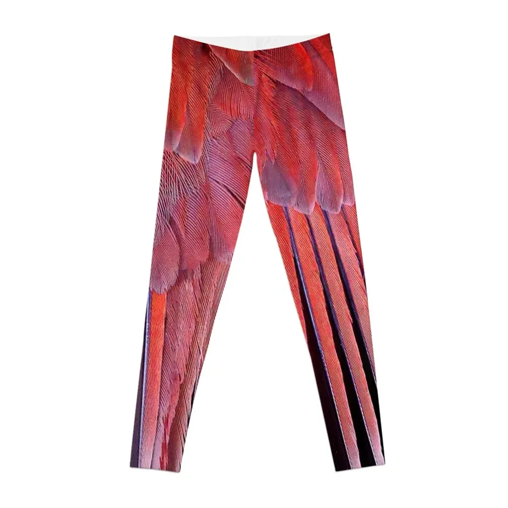 

Cardinal Leggings Women's high waist gym clothing Womens Leggings