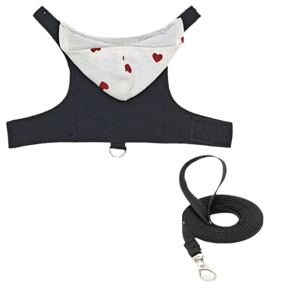 Lizard Harness with Leash Adjustable for Bearded Dragon Reptile pet harness