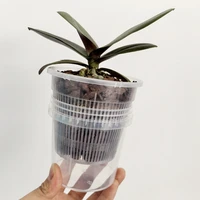Pot de fleurs transparent à double couche pour le contrôle des racines, pot auto-arrosant pour orchidées, pot pour plantes de pépinière avec trous, fournitures de jardin 2