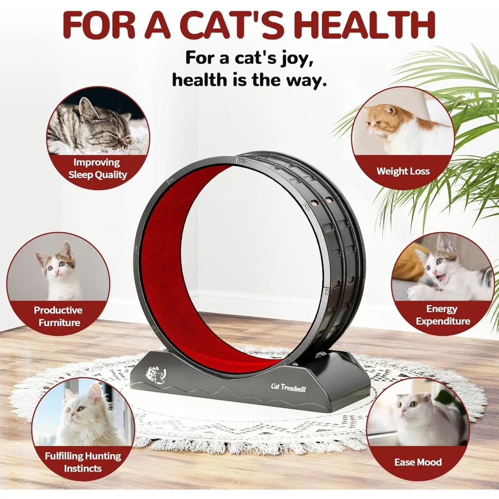 Carpeted Cat Exercise Wheel 4