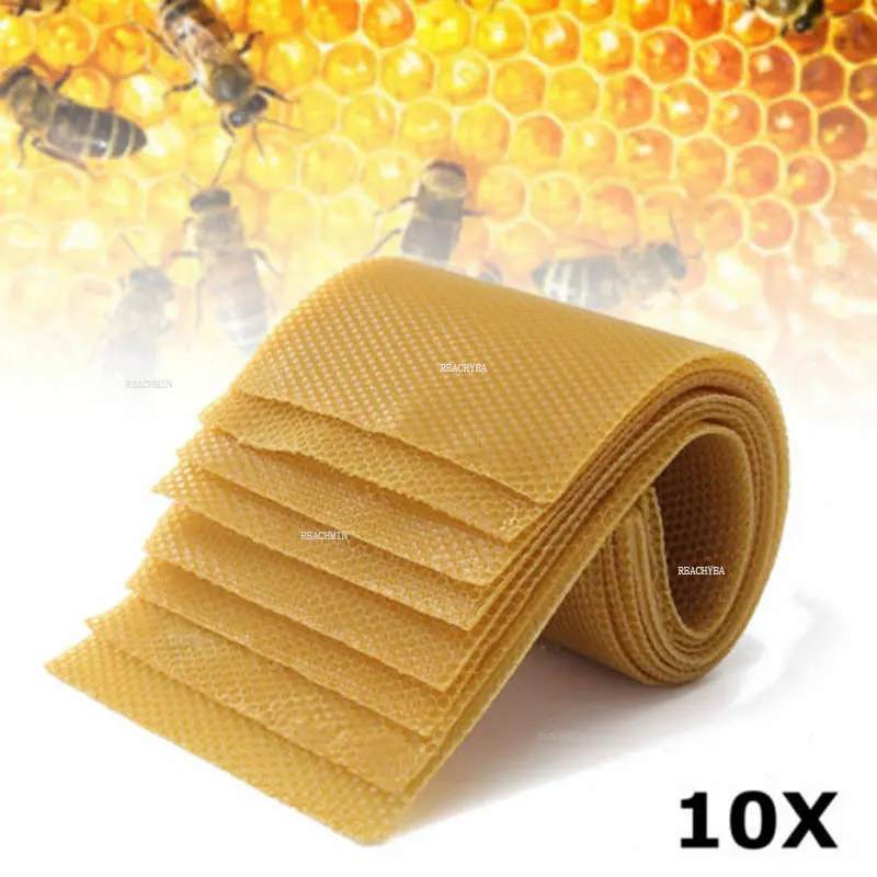 10pcs Bee Wax Foundation Bee Hive Wax Frames Base Sheets Bee Comb Honey