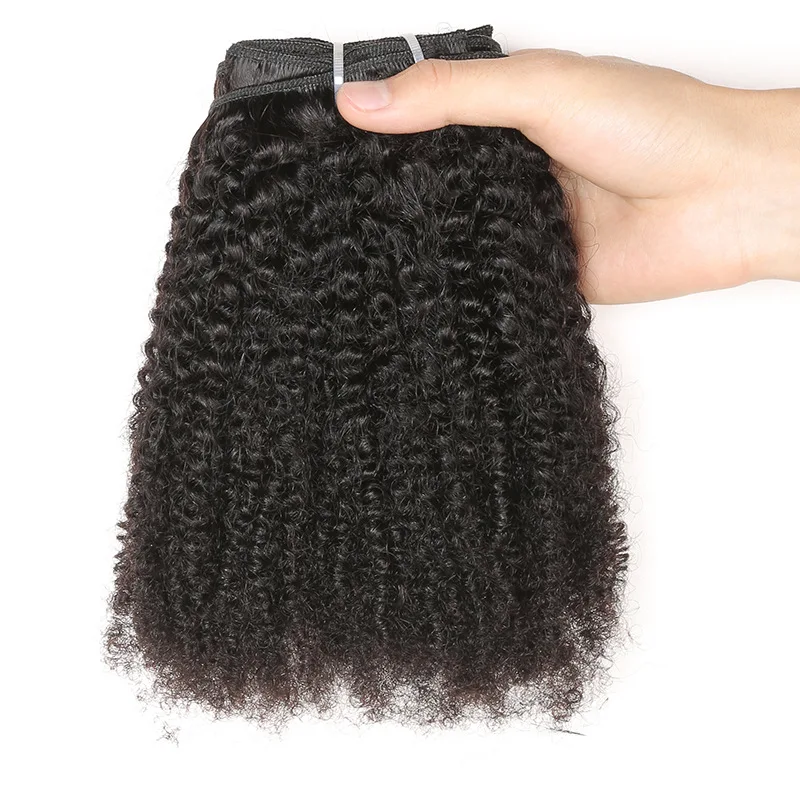 Kinky Curly Clip In Hair Extensions for Black Women Jerry Curly Hair Extensions Clip in Human Kinky Natural Black