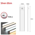 Silver 20CM