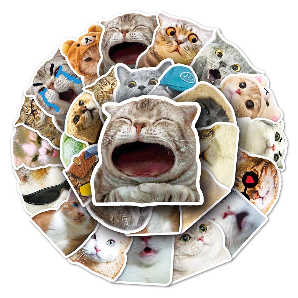 

10/30/50PCS Funny Animal Cat Meme Stickers Car Guitar Motorcycle Luggage Suitcase DIY Classic Toy Cute Decals Sticker Kid Toy