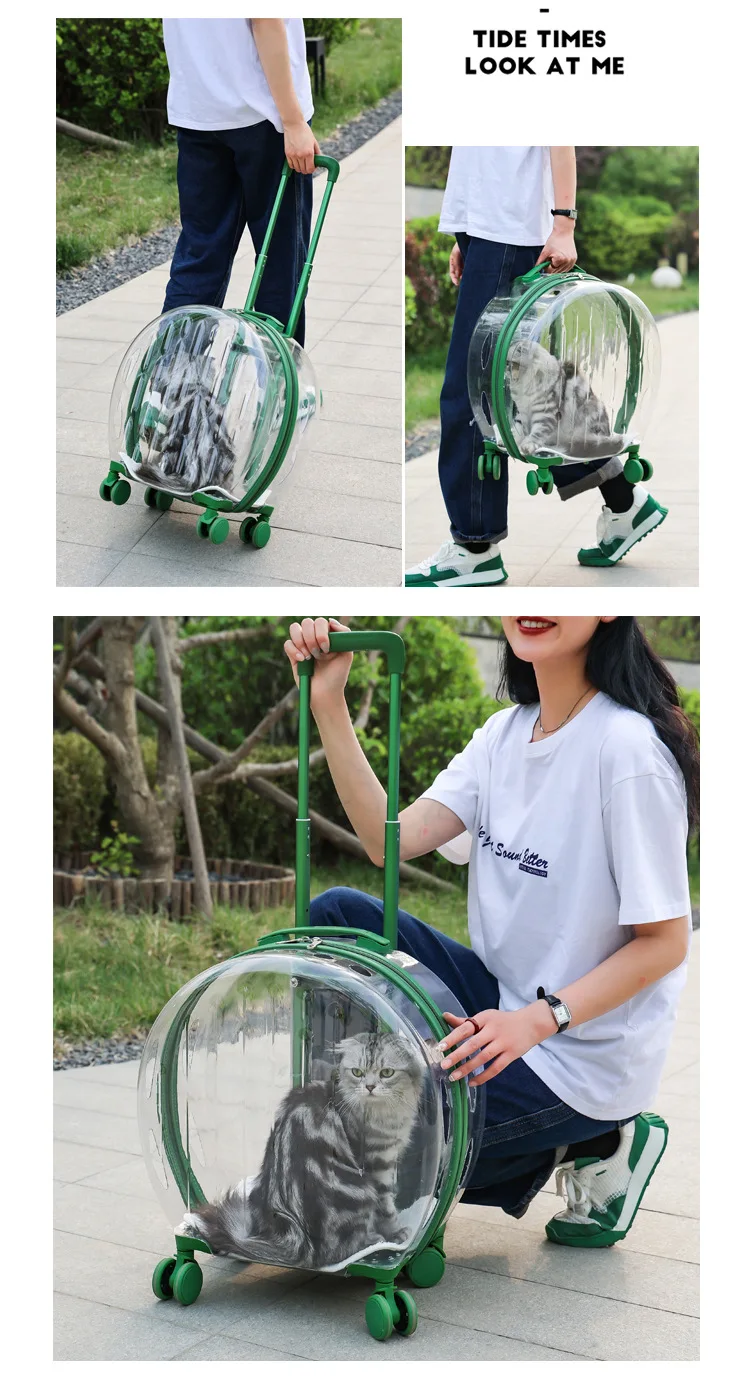 https://ae01.alicdn.com/kf/Sf2d29e2bd5c64a55a58c9b3a72badc30A.jpg?width=750&height=1389&hash=2139
