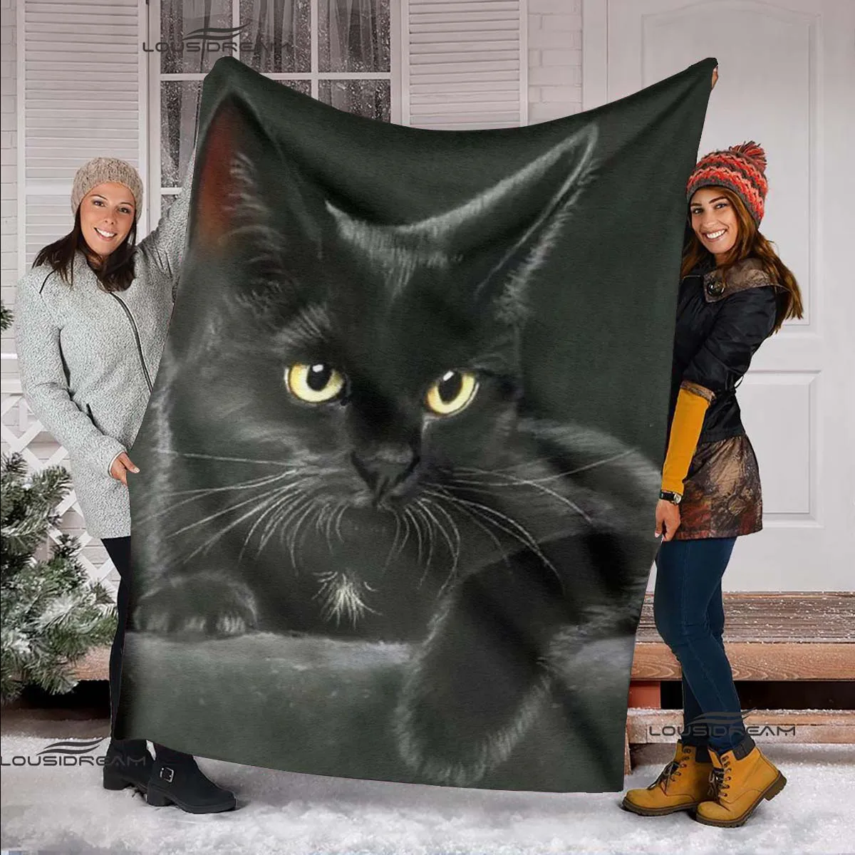 ������ �ε巴�� ������ �ö��� ������ ��� ���� ħ�� ħ��, �ҷ��� ���� ��⼺ �ҷ��� ���� ������ ȣ�� ���� ���