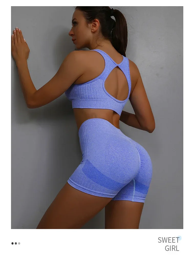 Women's Seamless Yoga Set Hollow Back Bra and Shorts