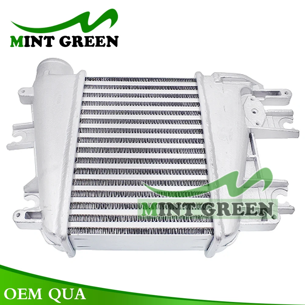 

Auto Inter Cooler Assy For Nissan Patrol GR Y61 Terrano II R20 3.0 4WD 2000-2010 14461-VC10A 14461-VC106 14461VC104 56042 PI0410