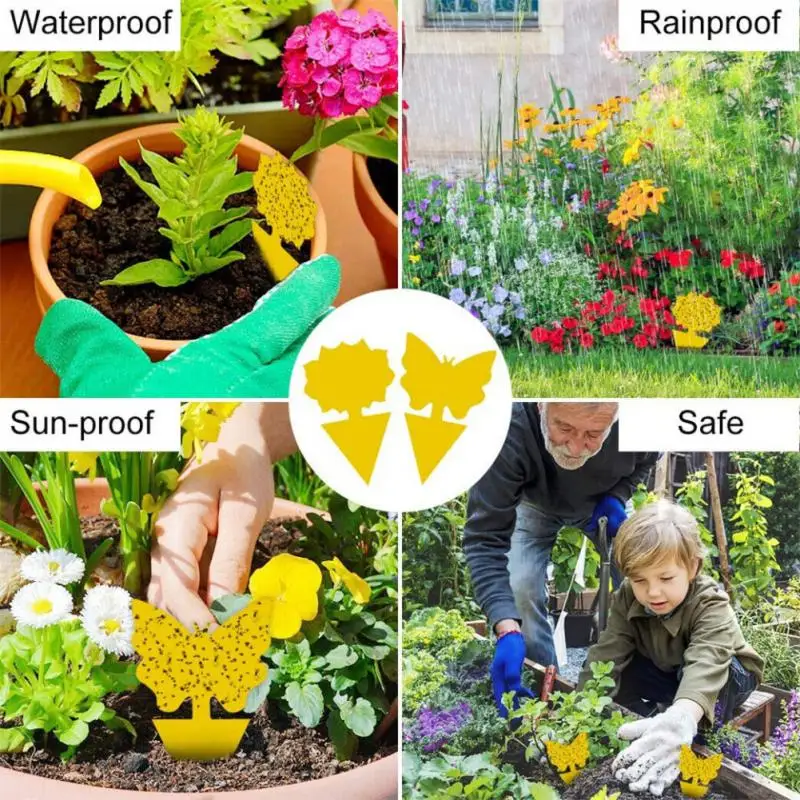 Rete Da Pesca Trappola A Solvente Edifici Da Giardino Repellente Trappola Per Topi Scarafaggio Accessori Da Giardinaggio Trapstar Per Zanzare
