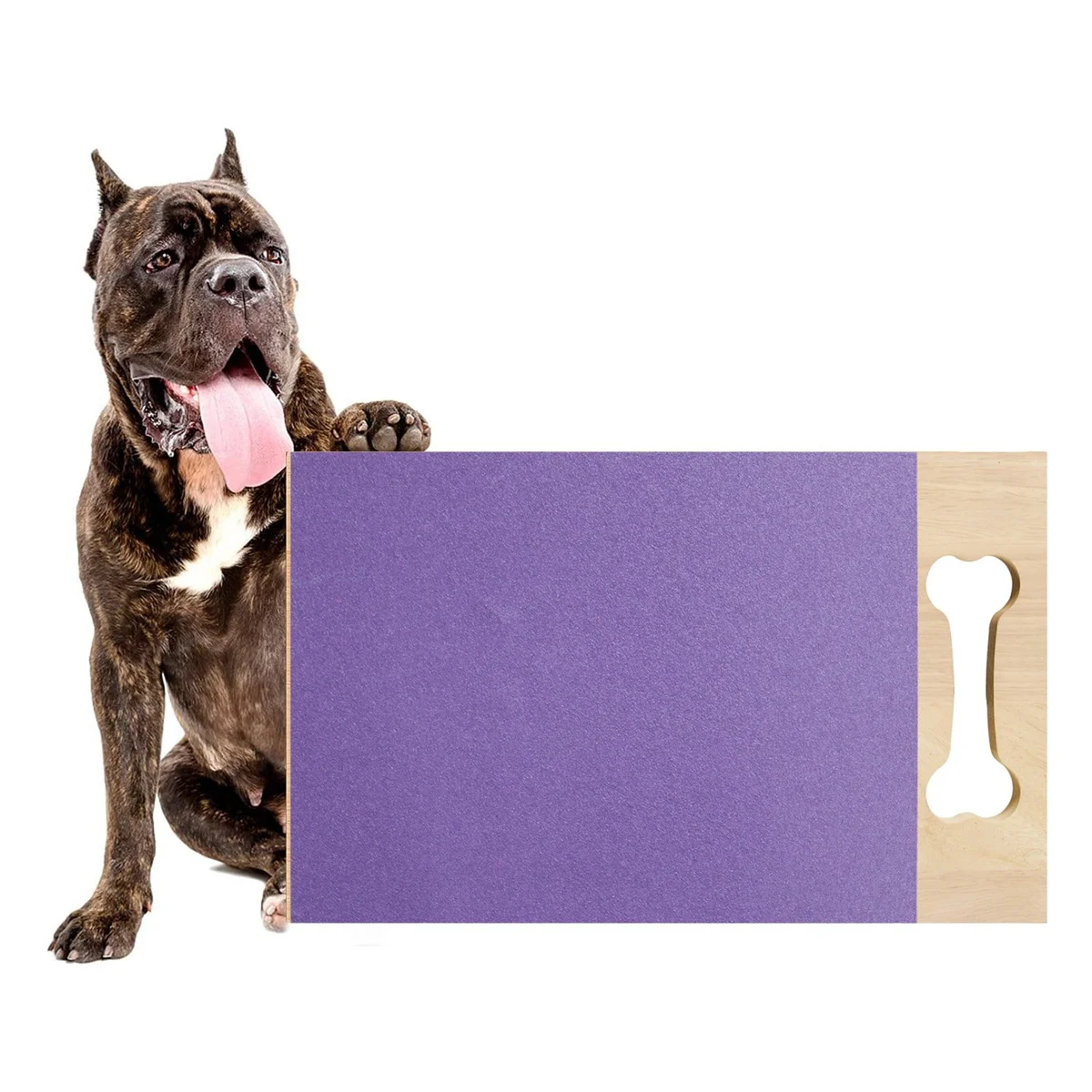 

Dog Scratch Pad for Nails with Treat BoxSnack Box Scratch Board for Dog Dog Nail Grinding Trainer for Grind Nails Purple