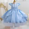 Stunning Cap Sleeves Beaded Embroidered Flower Girl Birthday Party Formal Pageant Dance Party Dress Dress 4