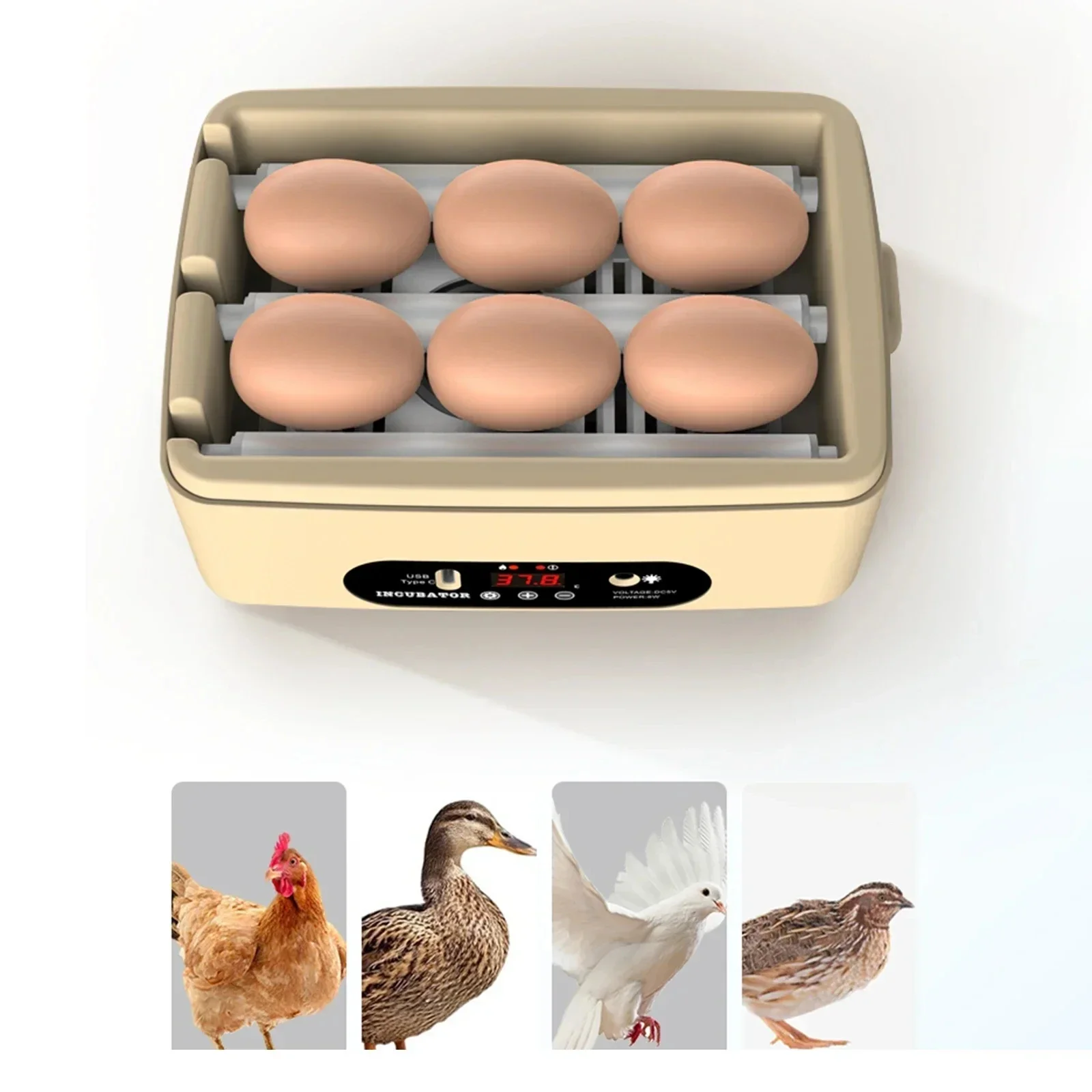 

6 Eggs Automatic Egg Incubator Poultry Hatching Machine Mini Turning Temperature Control Breeder for Chicken Birds Duck Goose