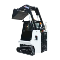 Customized Small Sliding Loader with Hydraulics from China Various Accessories Included for Sale