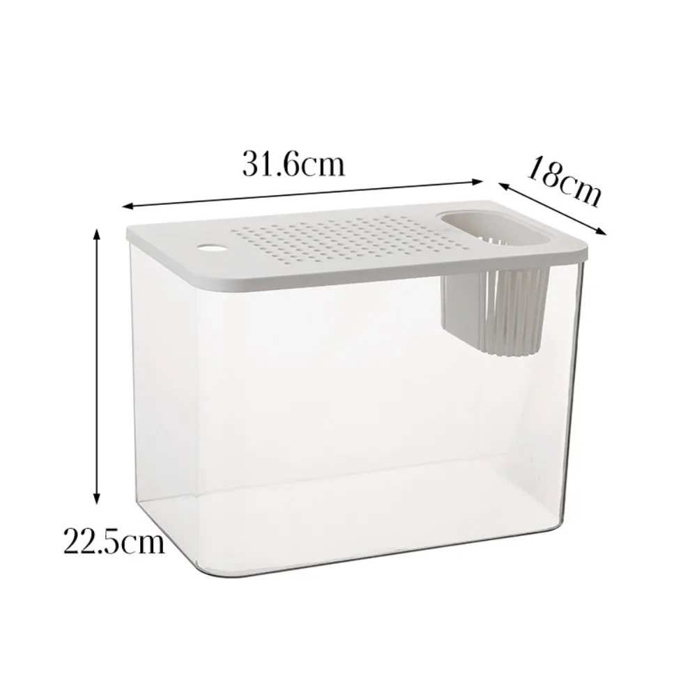 Transparent Hydroponic Fish Tank 6