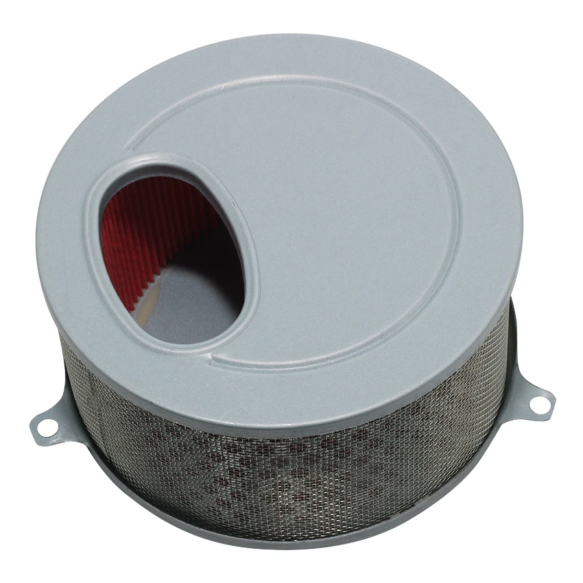 Filtre à Air pour Moto Pour Daelim Pour Daystar 125 VL125 Remplacement 17213-BA1-0000 Filtres À Air De Moto Accessoires Universels À Haut