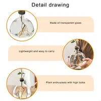 Avocado Seed Starter Vase Transparent Glass Propagation Hydroponic Flower Vase Container Gift Home Office Desktop Decors 2