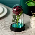 6 wine red