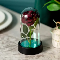 Eternal Galaxy Rose in Illuminated Dome - Romantic Gift (6 wine red)