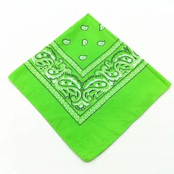 Unisex Paisley Bandana Scarf and Hair Wrap Accessory (Apple green)