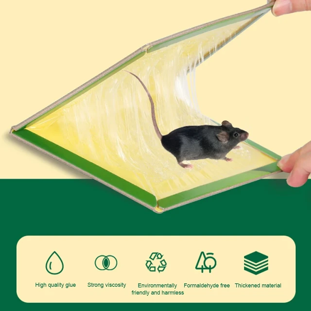 Sticky mousetrap trap sticker for mice and rats, harmless to pets