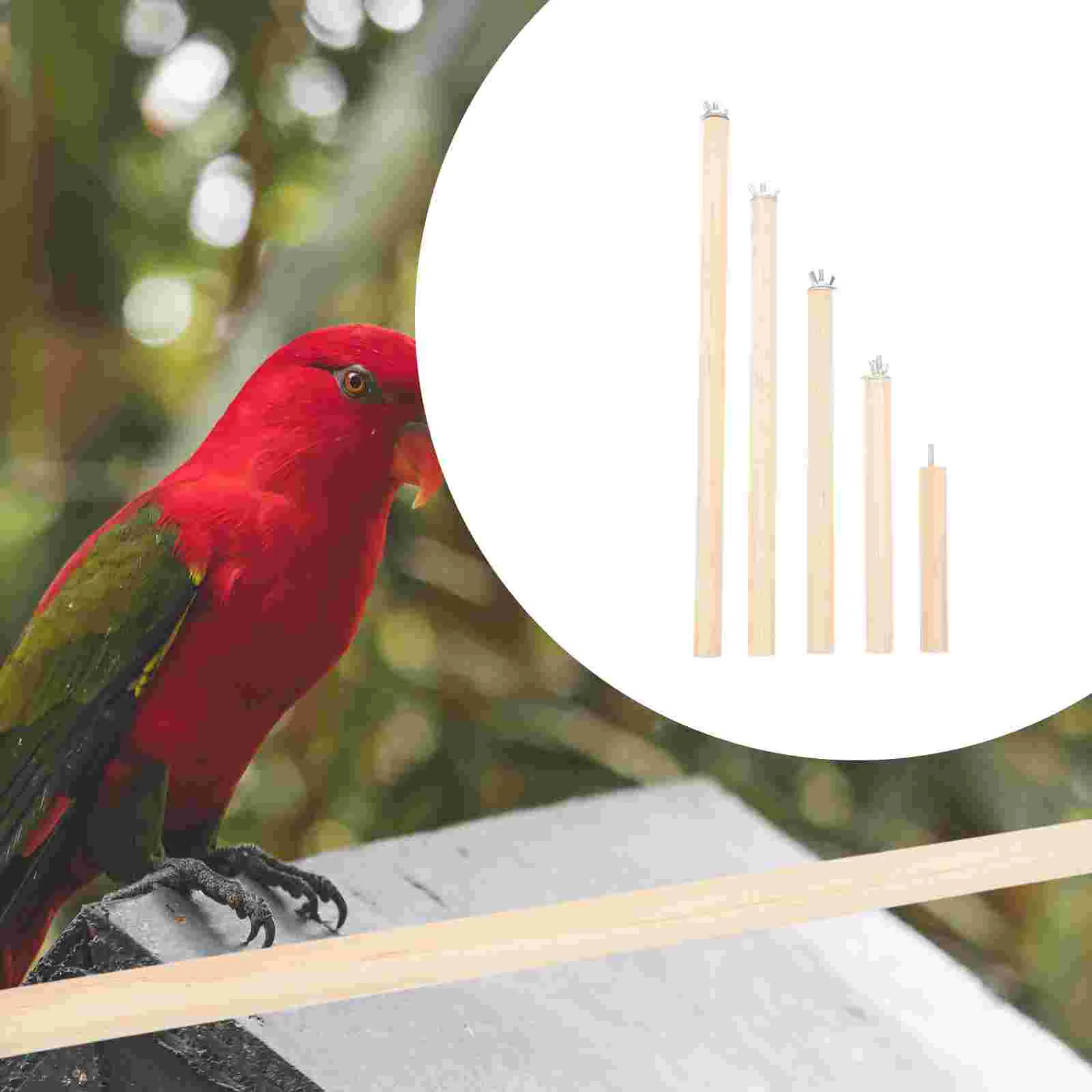 

5 Pcs Parrot Standing Pole Parakeet Cage Accessories Small Bird Perch Wooden Toy