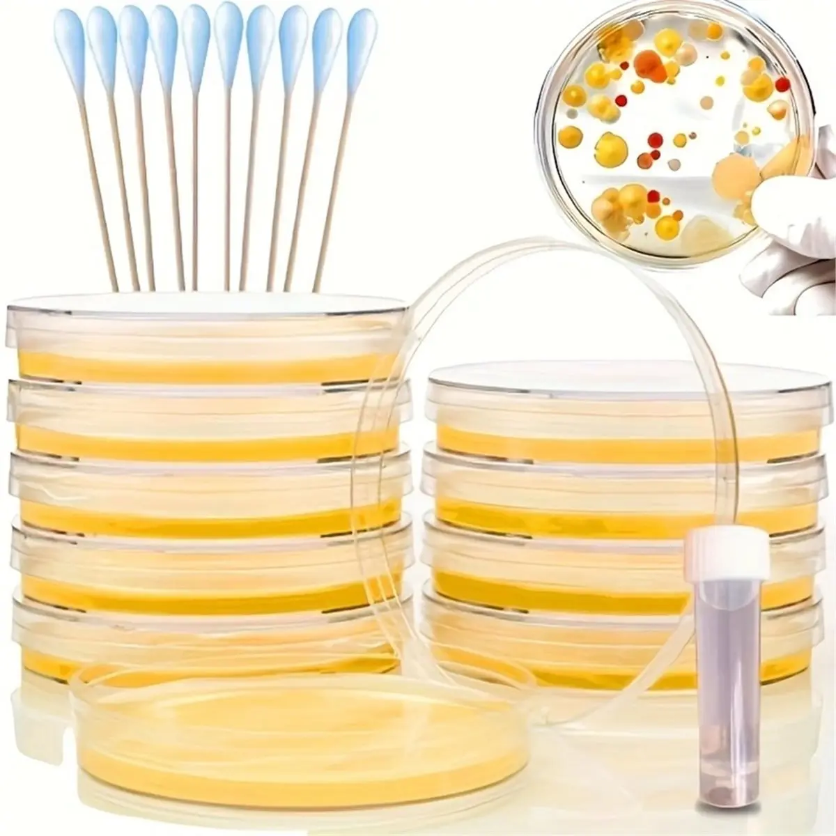 A10R 1세트 과학 연구실, 미생물 집락 관찰 실험, 일회용 페트리 접시(agar 미포함)