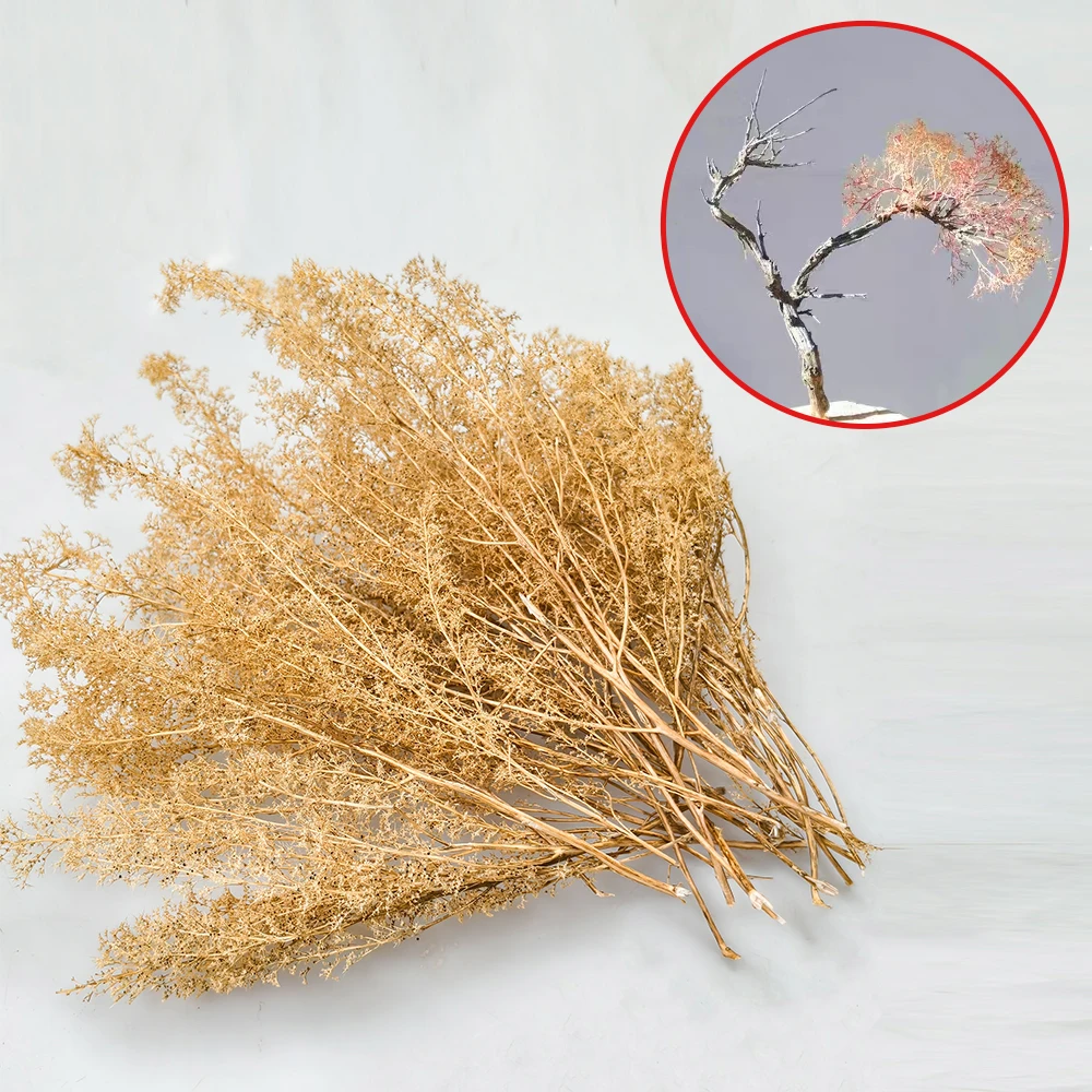 미니어처 건조 풀 모형 가시가 있는 퀴노아 나무 DIY 장면 재료 군사 모형 테이블 철도 기차 풍경 디오라마 키트
