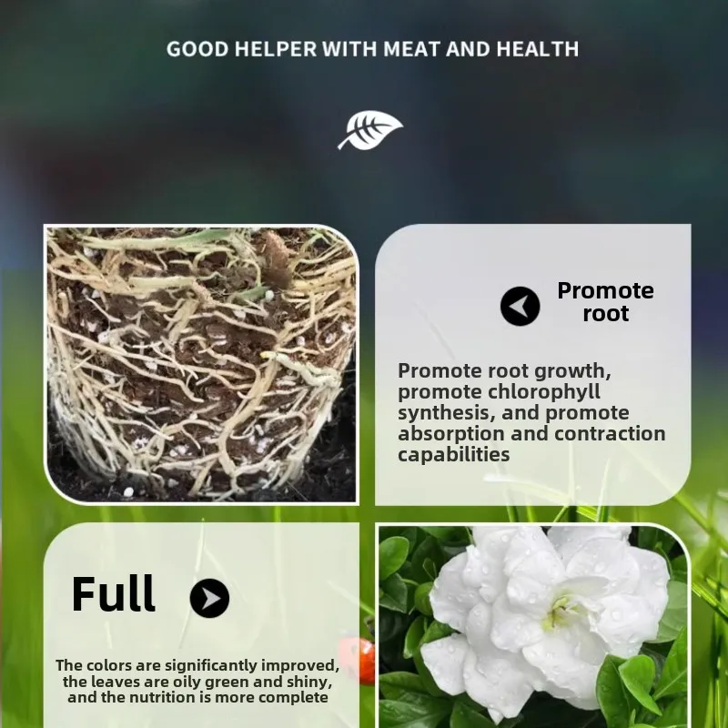 Non-dilution Gardenia Special Nutrient Solution Fertilizer Household Flowering Plants Special Green Plants Potted