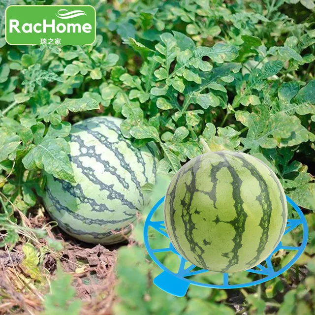 5Dcs Görögdinnye Támogató Tartó Dinnye Squash Bölcsők Kertészeti Cinaloupe Sütőtök Bölcső Állvány Műanyag Stabil Tálcák - Image 6
