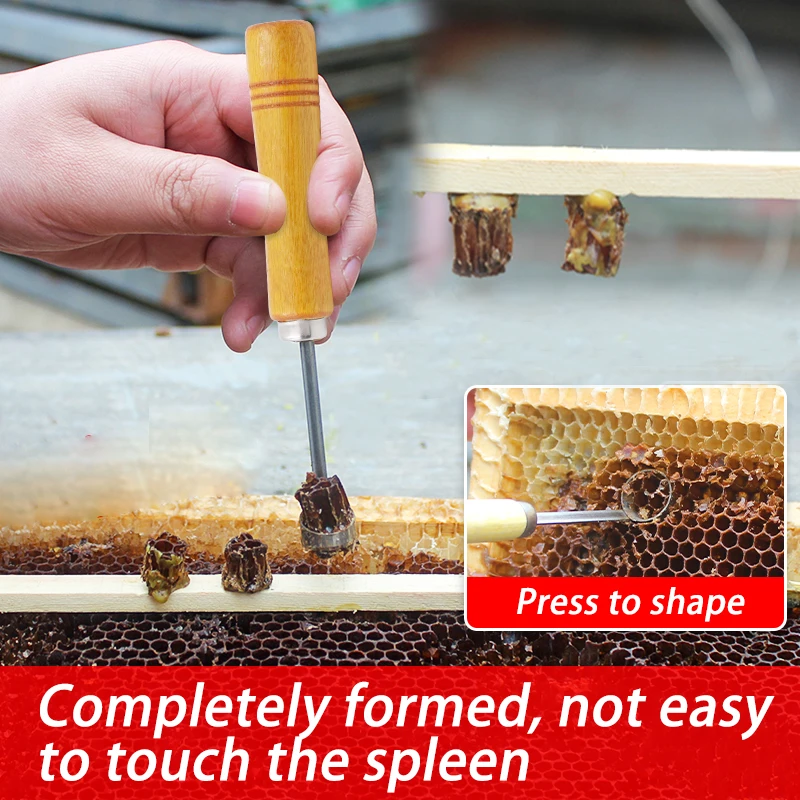 Beekeeping No-Graft Queen Rearing Kit Comb Foundation Cutter Queen Frame Cutter Extractor Cutting Tool Apiculture Equipment beekeeping tools beekeeping accessories