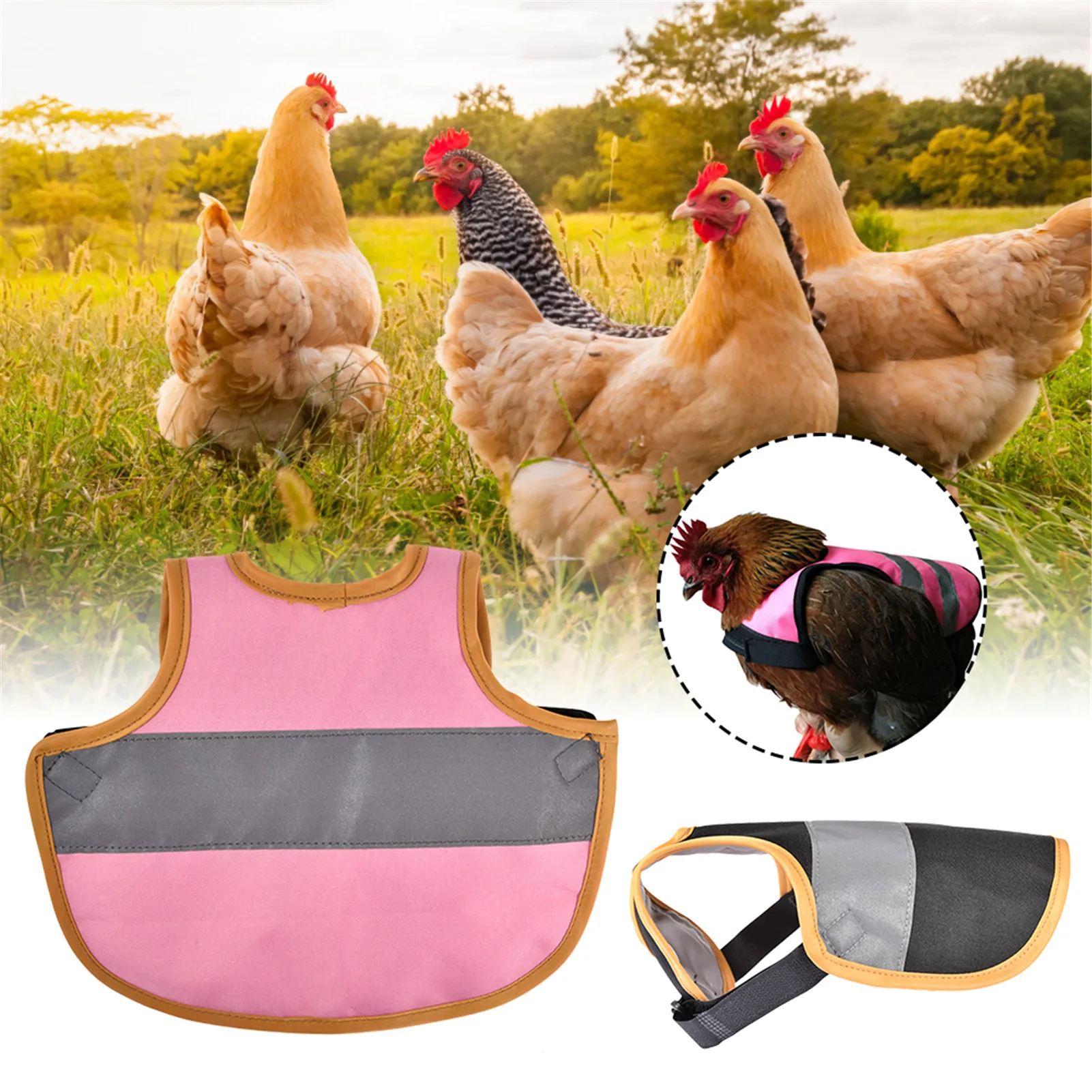 Tablier de selle de poulet pour poules, avec bande réfléchissante