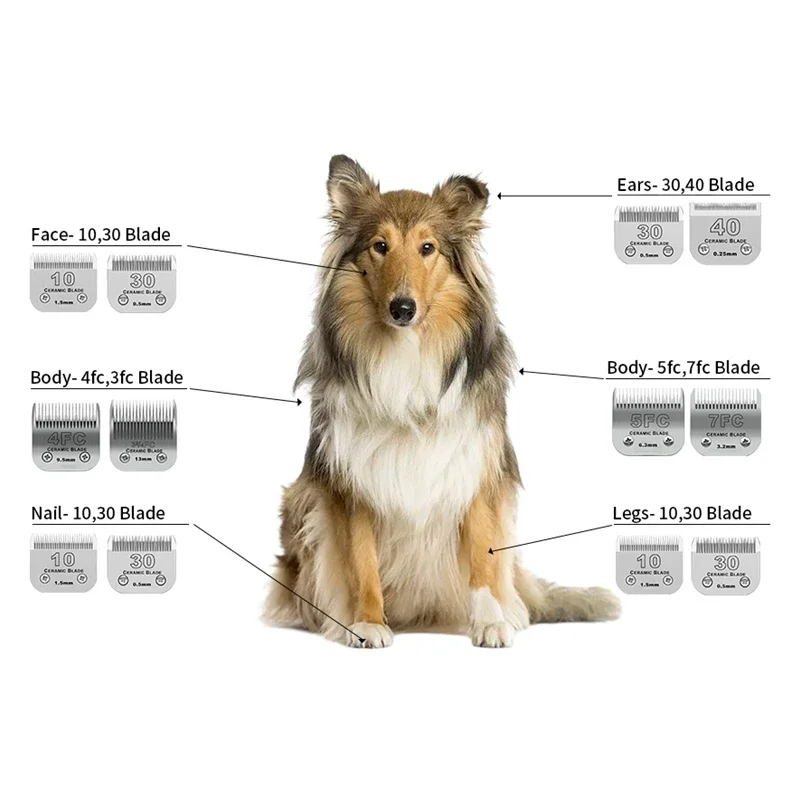 شفرة قابلة للفصل لتصفيف حيوانات الأليفة والكلاب مت...