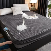 Waterproof Throw Mattress Cover Bed Fitted Sheet Solid Color Mattress Protector Single/Double/140/160 Muti Size Gray/White Decor 1