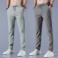 Men's Ice Silk Pants New Summer Style Black Label Thin Business Casual Pants Elastic Breathable Straight-leg Sports Trousers
