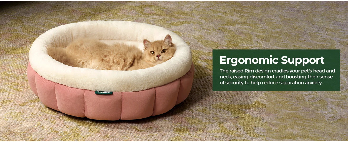 small pet bed