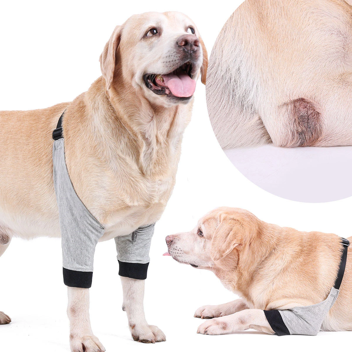 Dog Knee Brace Knee Immobilizer Support Dogs With Torn Knee Cap Dogs
