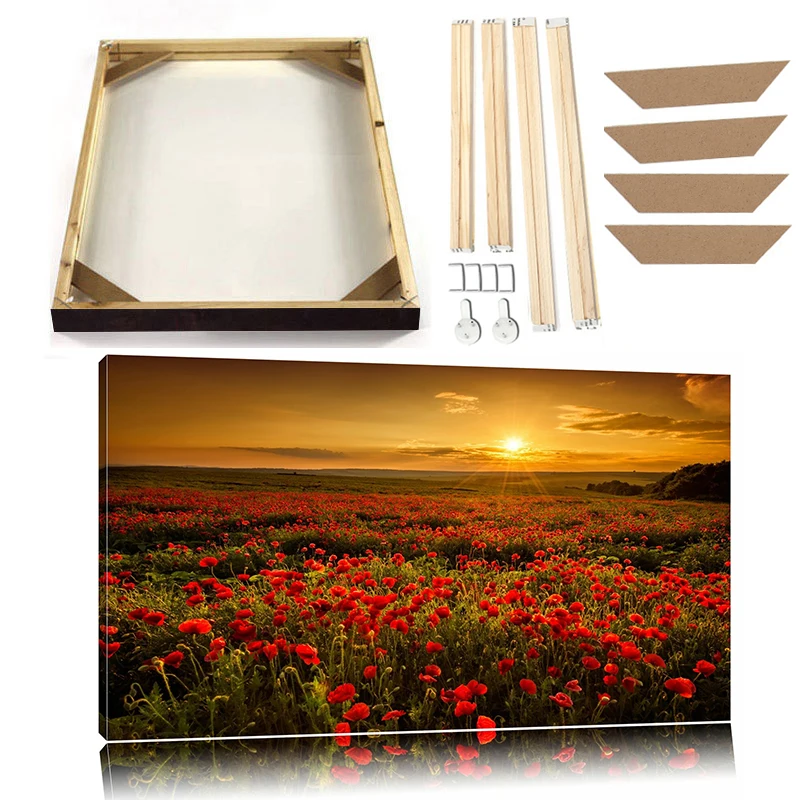 Poppy Field Island Lake Sunset Cave Natural Landscape Canvas Painting Con Cornice Famous City Scenery Poster Prints Photography