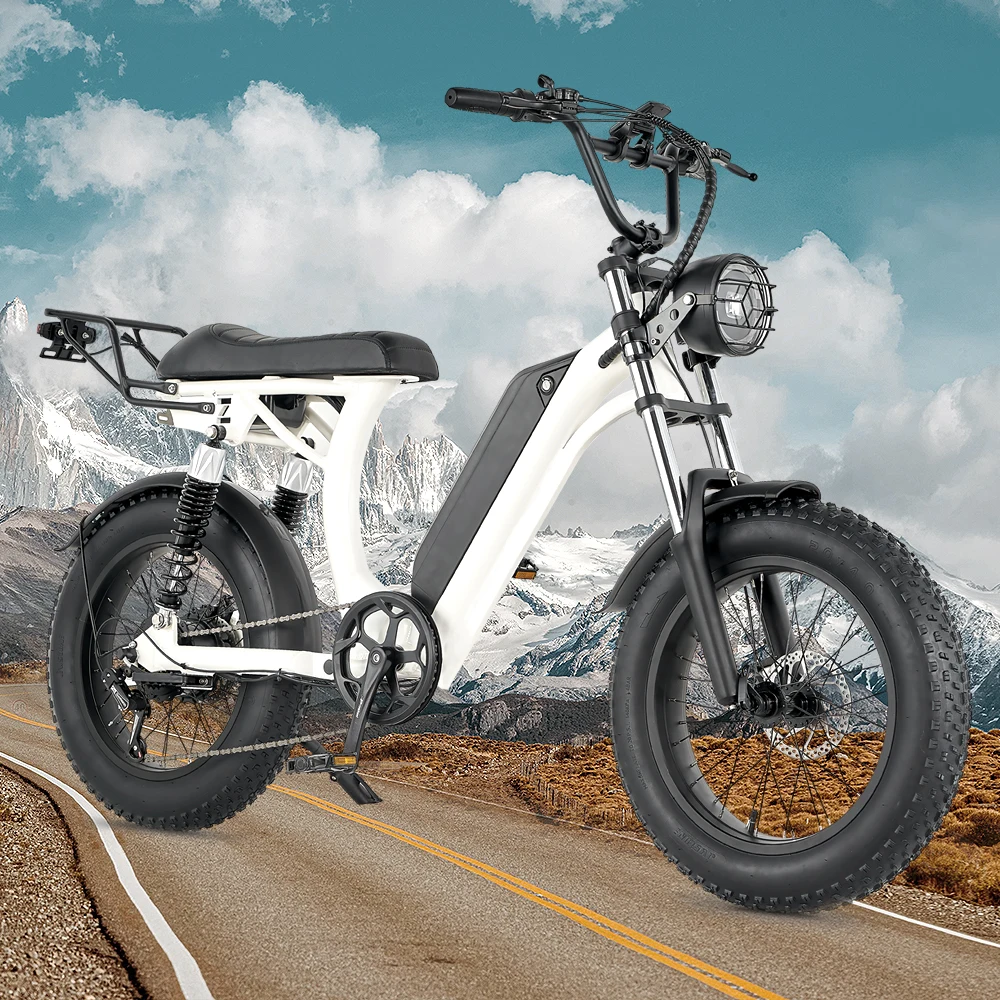 EBIKE 750W16ah48V 電動EBIKE Akez ZX Electric Bike – Throttle One