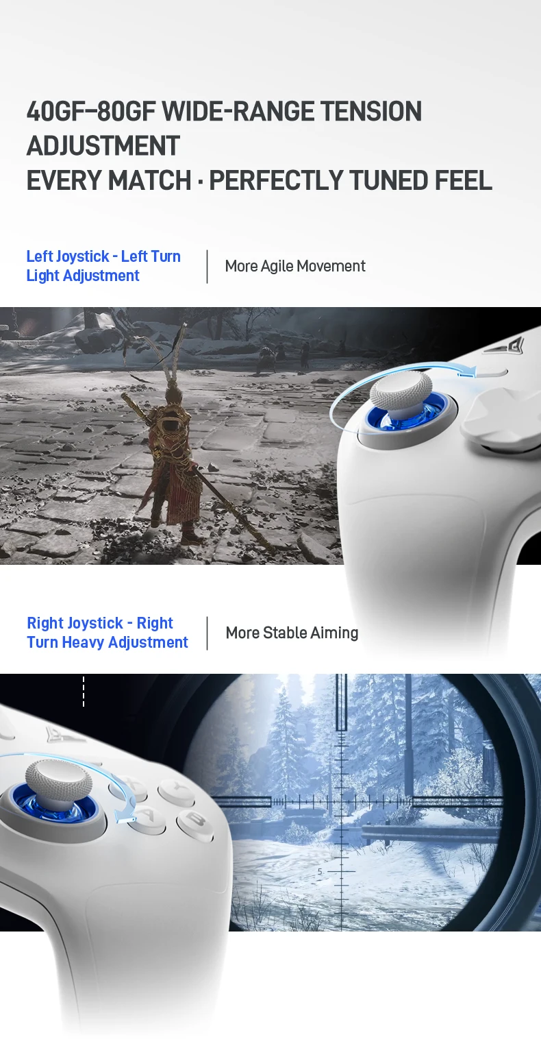 Flydigi Direwolf 4