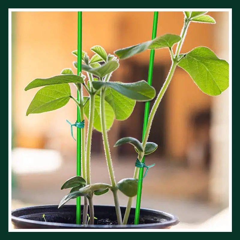 30/50m Garden Plant Fixed Rope Reusable Green Coate String With Cutter Sturdy Plant Twist Tie Gardening Vegetable Grafting Fixer
